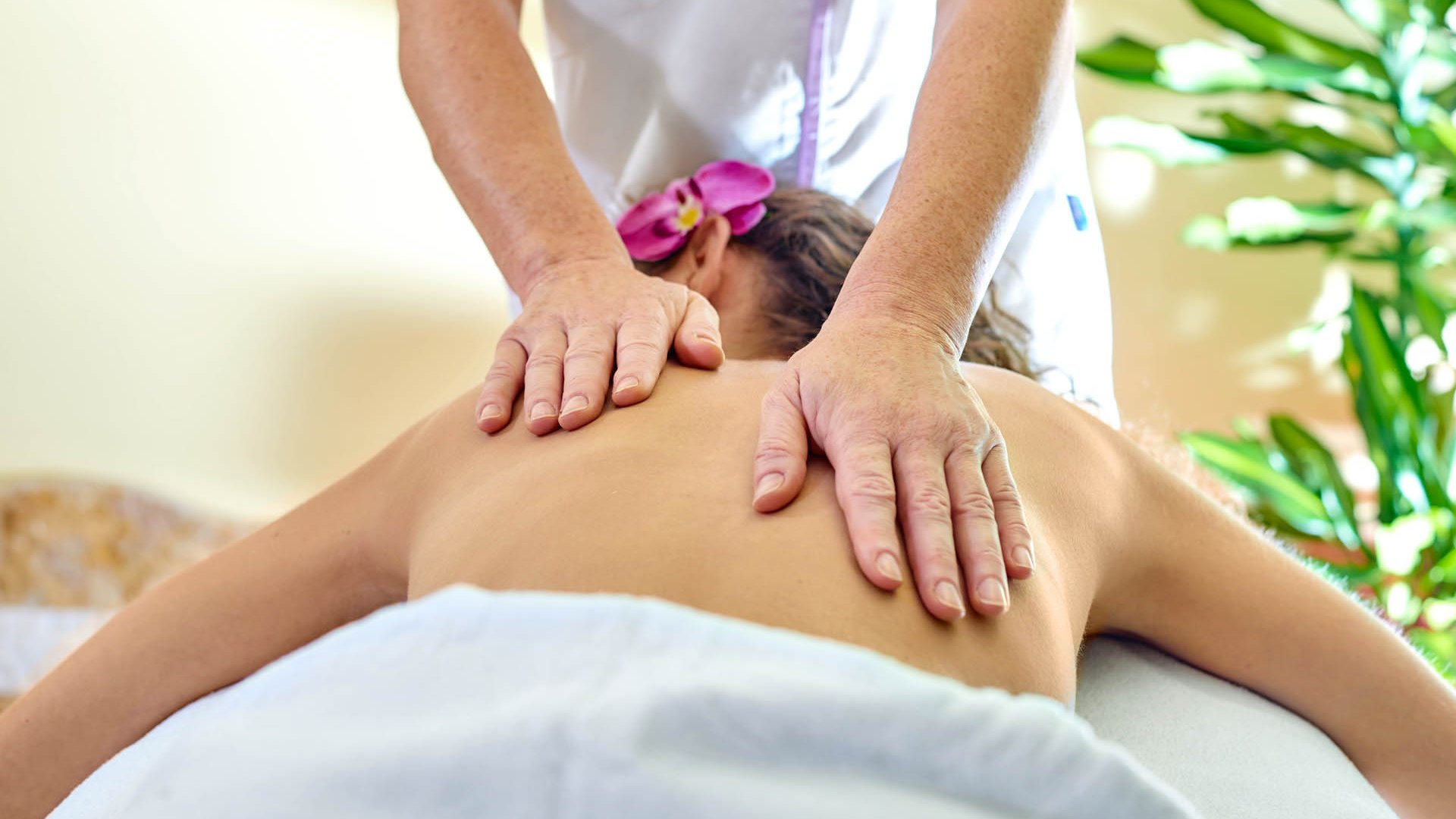 4-Sterne-Hotel am Gardasee: Hotel Baia Verde 4-Sterne-Hotel am Gardasee: Hotel Baia Verde